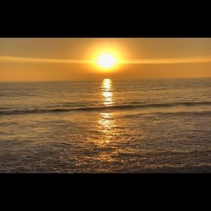 Meet your Posher, Griselda